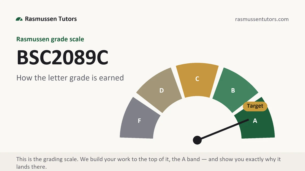 BSC2089C grading scale at Rasmussen, how the work is graded, from Rasmussen Tutors